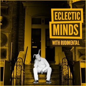 Eclectic Minds: Rudimental