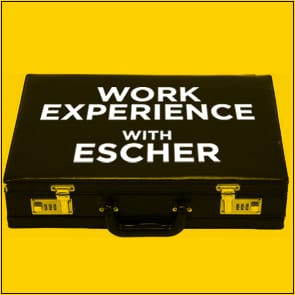 Work Experience: Escher