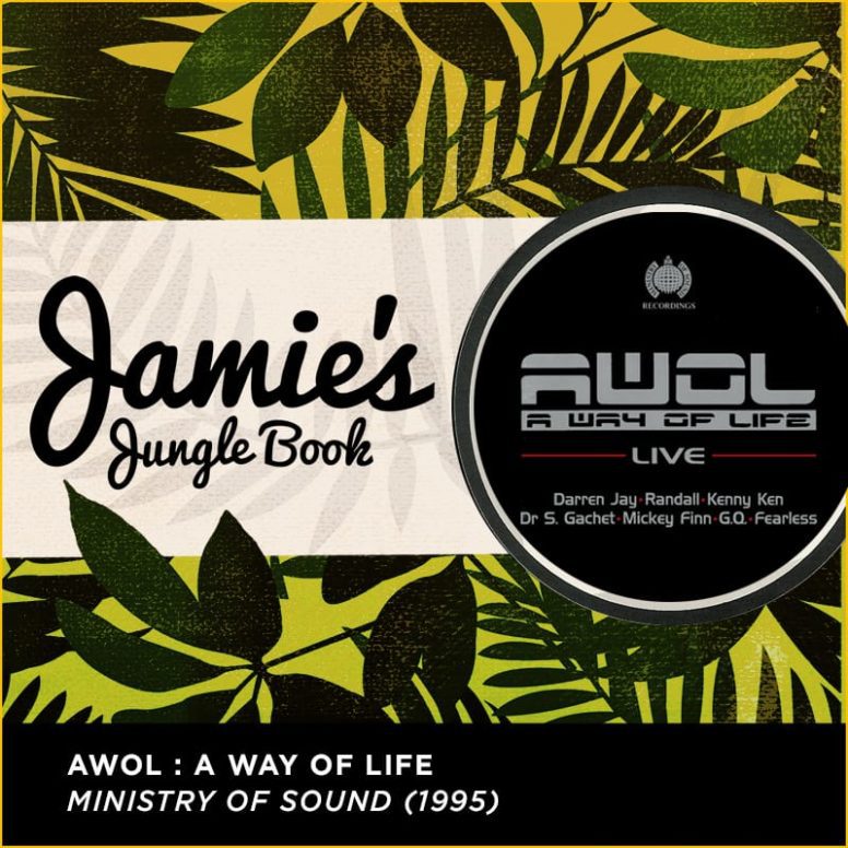 Jamie’s Jungle Book – Part Fifteen