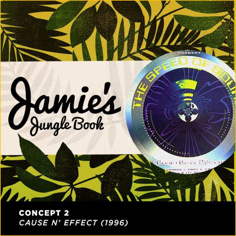 Jamie’s Jungle Book – Part Sixteen