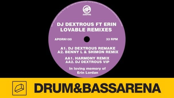 DJ Dextrous ft. Erin - Lovable (Harmony Remix)