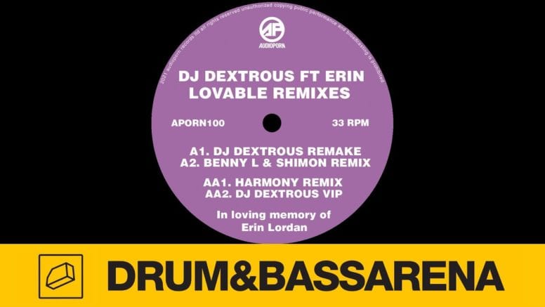 DJ Dextrous ft. Erin – Lovable (Harmony Remix)